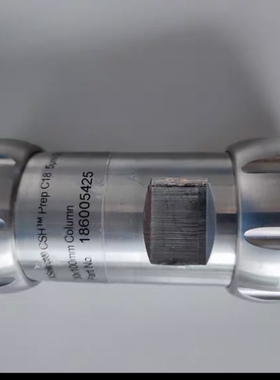 Waters 186005425制备柱色谱柱XSelect CSH C18 OBD 5 µm