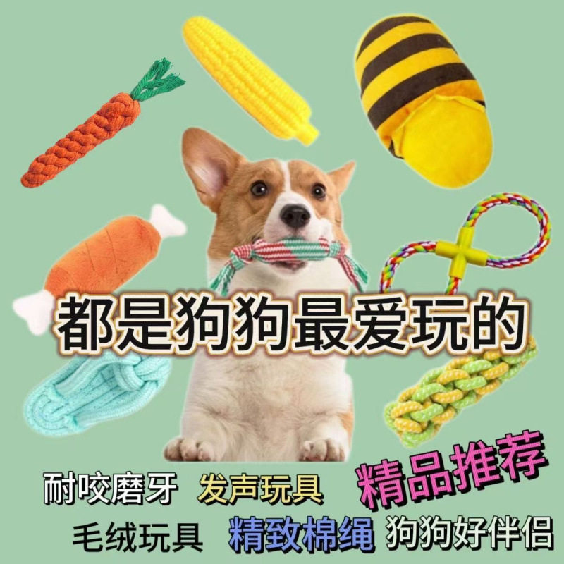 小狗用品大全狗狗玩具发声耐咬玩具宠物玩具解闷中小型犬柯基玩具