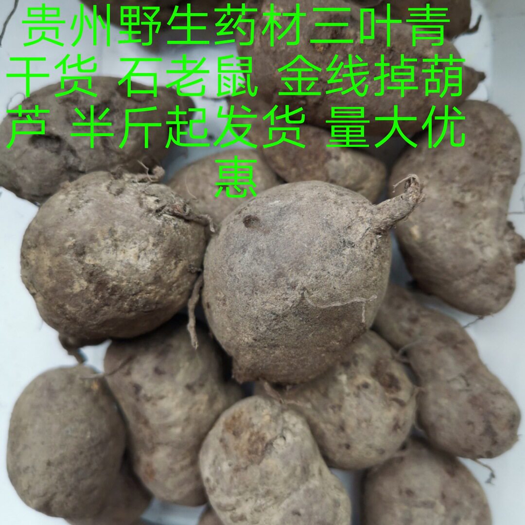 贵州野生药材三叶青干货石老鼠金线掉葫芦250克包邮发  量大优惠