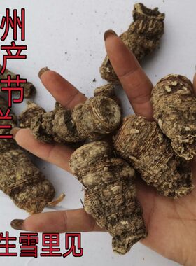 野生干雪里见独角莲250g包邮半夏
