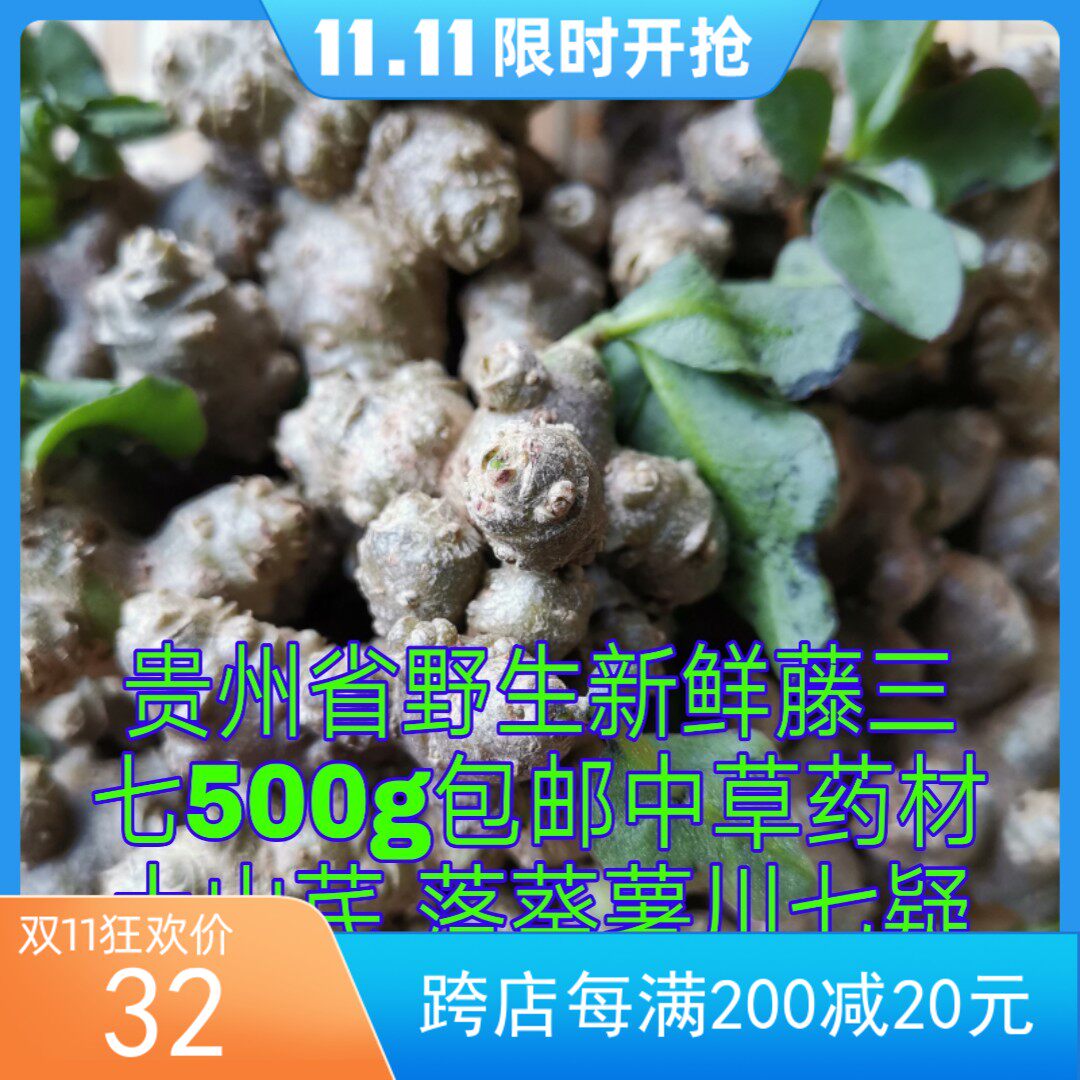 贵州省野生新鲜藤三七500g包邮中草药材土山芪 落葵薯川七疑洛葵
