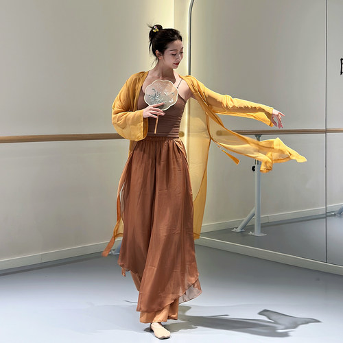古典舞舞蹈服纱衣古风飘逸演出服