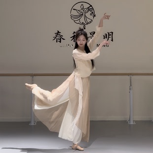 古典舞蹈服女宽松雪纺飘逸仙气温柔杏现代舞练功服中国舞艺考服装