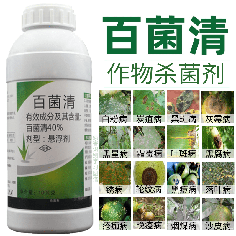40%百菌清果树蔬菜花卉杀菌剂锈病炭疽病白粉病叶斑病霜霉病农药高性价比高么？