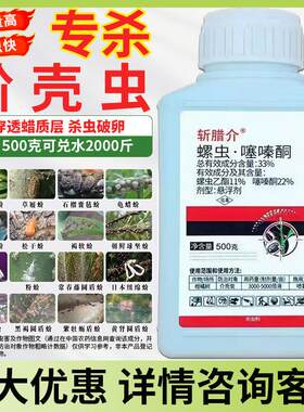 蚧壳虫药介壳虫杀虫剂螺虫噻嗪酮铜螺虫乙脂酯柑橘果树梨木虱农药
