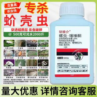 蚧壳虫药介壳虫杀虫剂螺虫噻嗪酮铜螺虫乙脂酯柑橘果树梨木虱农药