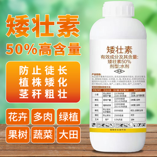 矮壮剂植物矮状素菊花花木水仙花卉多肉油菜小麦控旺多效唑矮胖素