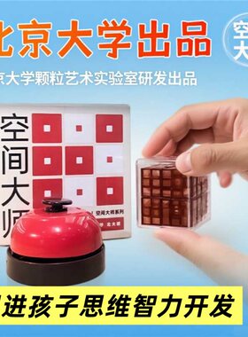 空间大师积木北大魔方思维训练