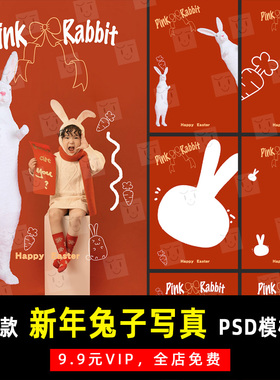 新年元旦春节兔子手绘文字写真PSD模板素材影楼后期设计排版 K549