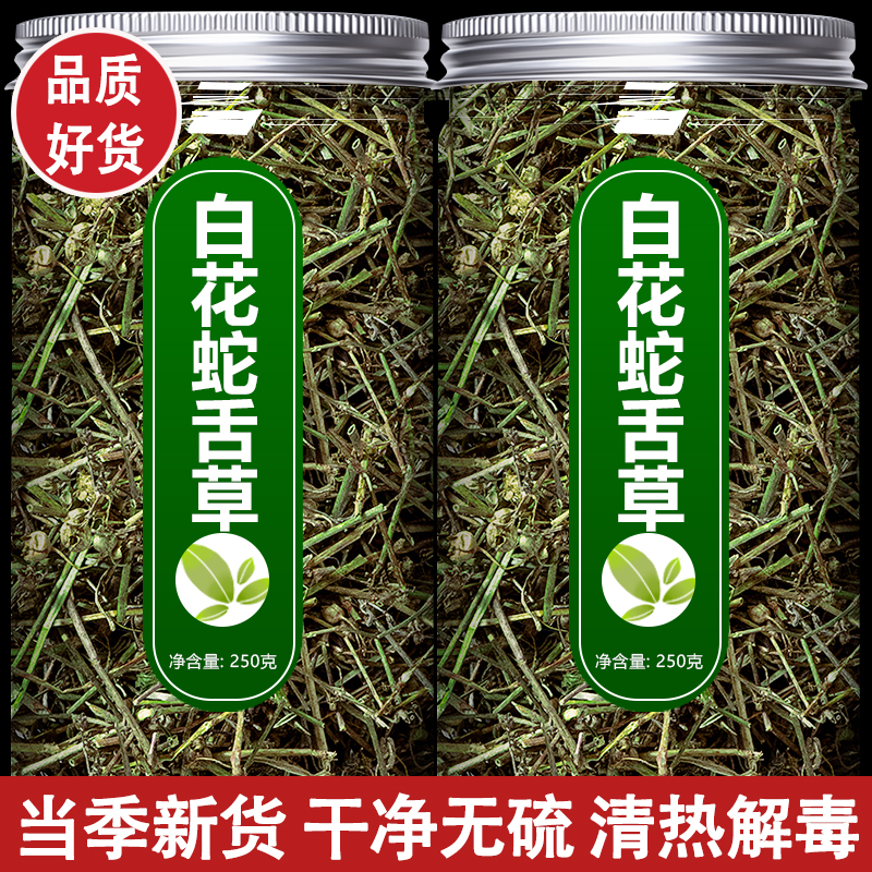 白花蛇舌草新鲜野生正品