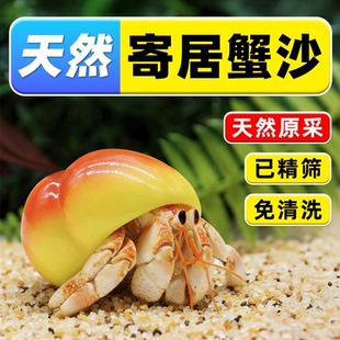 寄居蟹专用海沙蟹饲养沙螃蟹辣椒蟹垫材用品免洗原生鱼缸造景底砂