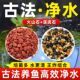 天然火山石溪流石鱼缸专用造景底砂石头滤材过滤古法养鱼水草泥