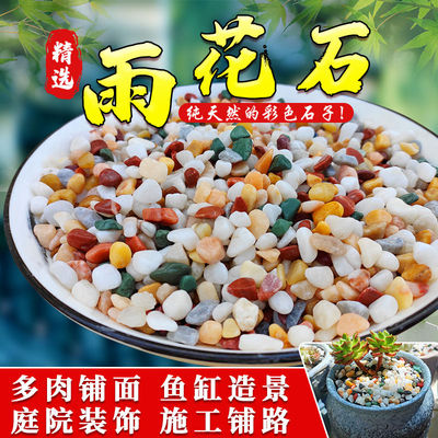 天然雨花石多肉铺面石子园艺盆栽水培鱼缸铺底造景五彩石头庭院用