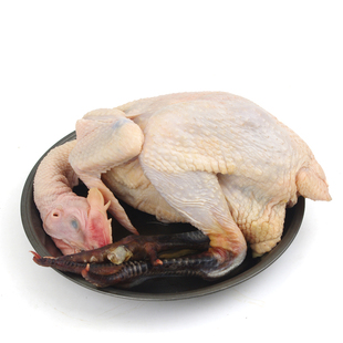 丘陵土鸡1只约3斤左右 包邮江浙沪 十年老店白斩散养红烧冻整鸡