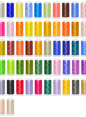 胜狮绣花线75D108D120D/2电脑绣花机彩色涤纶冰丝63色刺绣DIY流苏