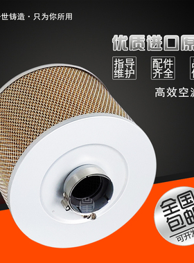 上海德斯兰螺杆空压机空气过滤器DSR/DSPM-50A/60A滤清器37kw空滤