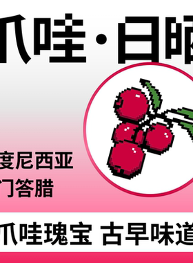 新品捌比特印尼苏门答腊爪哇Java浅中烘焙手冲日晒精品咖啡豆100g