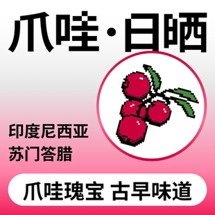 新品捌比特印尼苏门答腊爪哇Java浅中烘焙手冲日晒精品咖啡豆100g