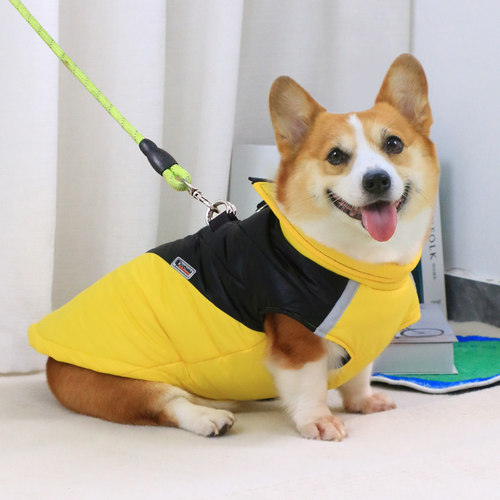 狗狗保暖衣服防水可牵引柯基马甲