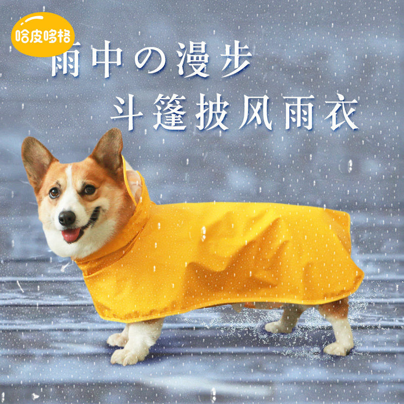 狗狗雨衣小型犬宠物泰迪柯基专用雨披防水狗衣服遛狗防脏四脚肚兜