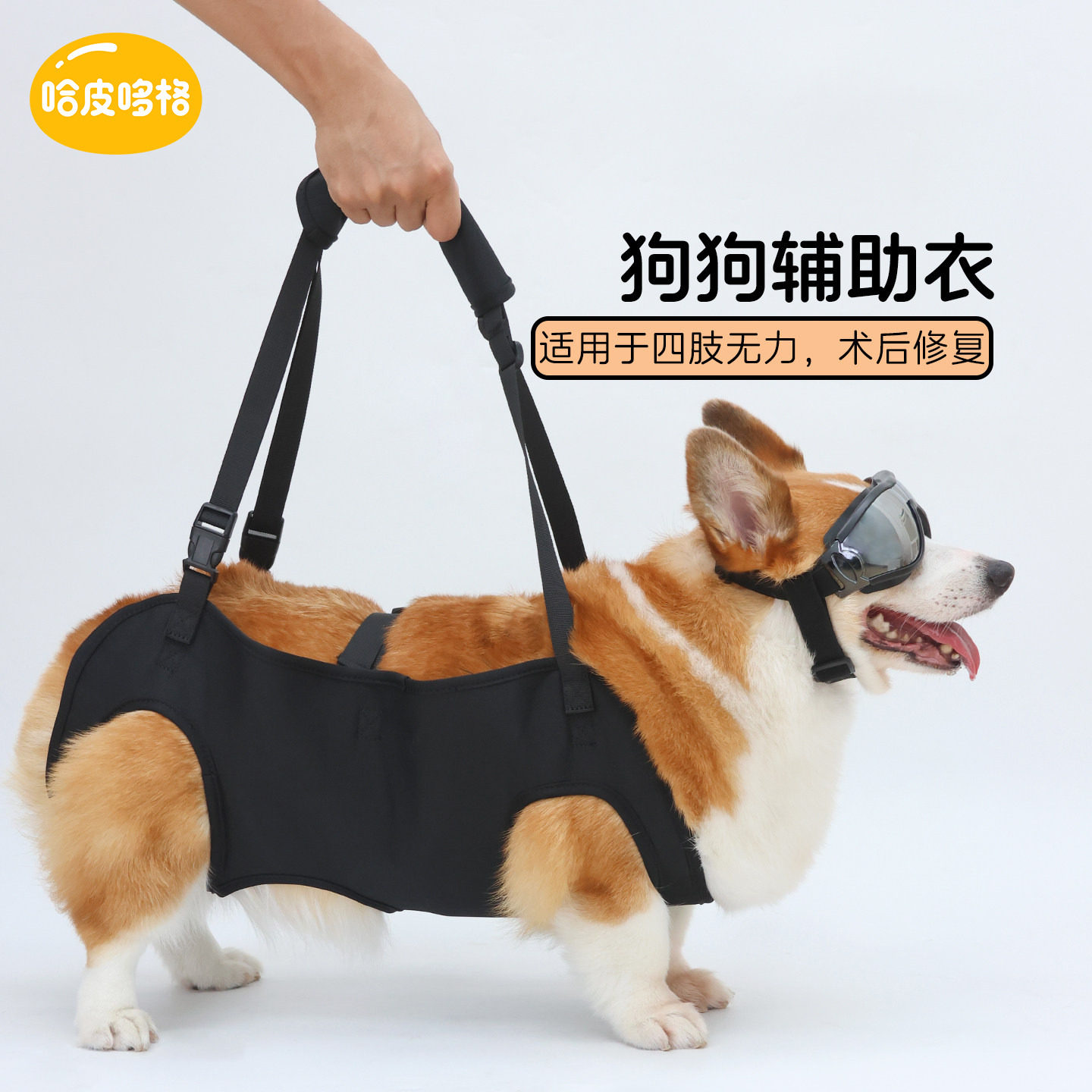 宠物狗狗腿无力辅助带老年犬瘫痪行走器康复训练上下楼柯基犬专用