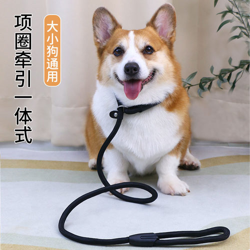 宠物狗狗P绳牵引绳防爆冲用品P链