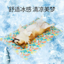 宠物狗狗冰垫夏天夏季 睡垫垫子小型犬柯基法斗专用睡觉 用品凉垫