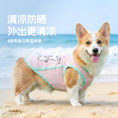 夏季薄款透气中小型犬柯基背心夏