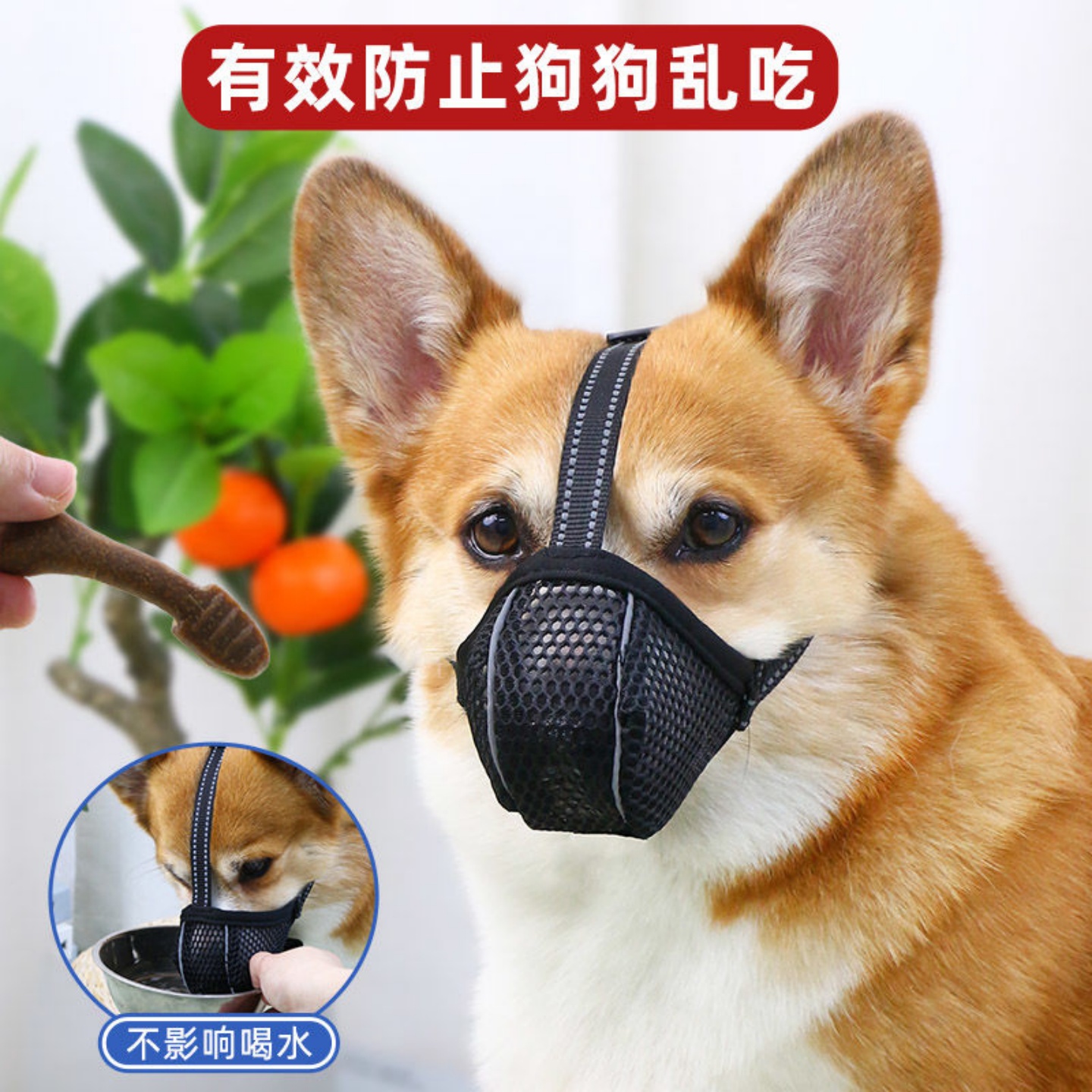 宠物狗狗防乱吃嘴罩可喝水