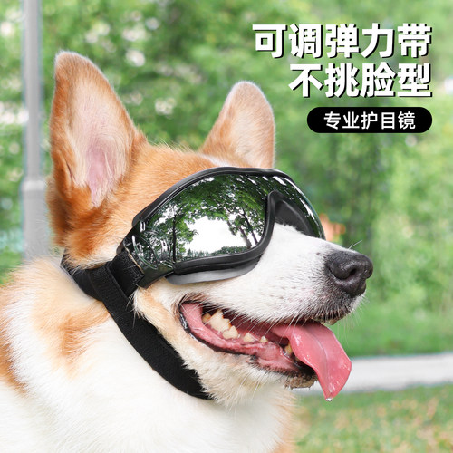 狗狗墨镜柯基泰迪金毛边牧护目镜