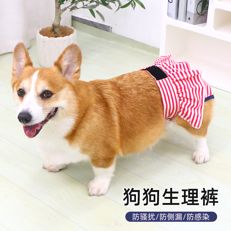 狗狗纯棉生理裤月经裤生理期护垫