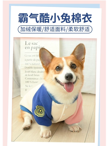 Одежда для любителей собаки осень, зима, зима и зима плюс бархатный плюшевый плюшевый корги