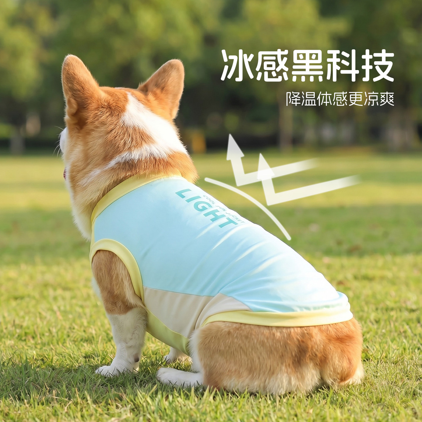 夏季背心凉感薄款凉感衣柯基衣服图片