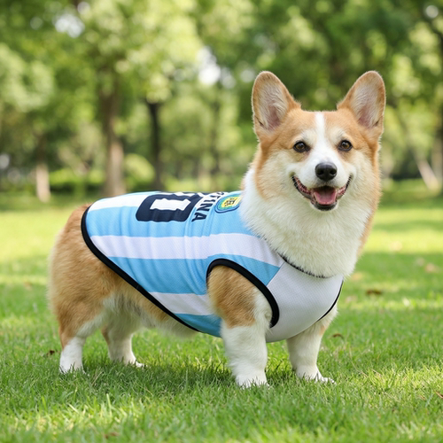 狗狗衣服夏季背心透气防晒衣球服