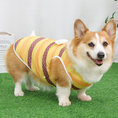 宠物狗狗衣服薄款透气背心春秋款