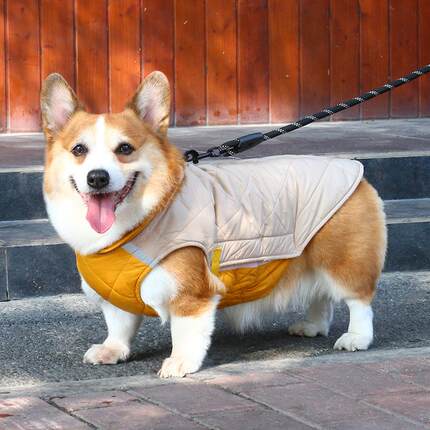 宠物狗狗柯基衣服秋冬款冬季可牵引2024新款中型犬柴犬棉衣马甲冬