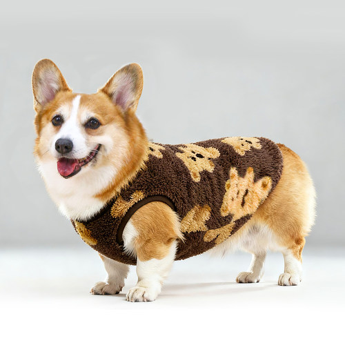 宠物狗狗衣服柯基秋冬款保暖背心