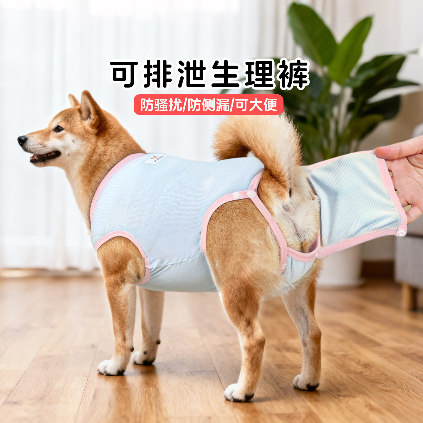 宠物狗狗柴犬月经生理裤母狗可排泄柯基衣服姨妈裤安全裤防交配裤