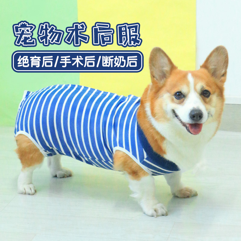 宠物狗狗四脚衣服薄款防舔绝育服