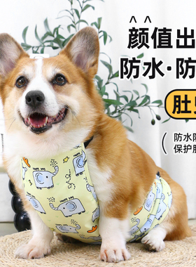 宠物狗狗防水肚兜防脏防潮护肚子防着凉保暖柯基柴犬法斗四季通用