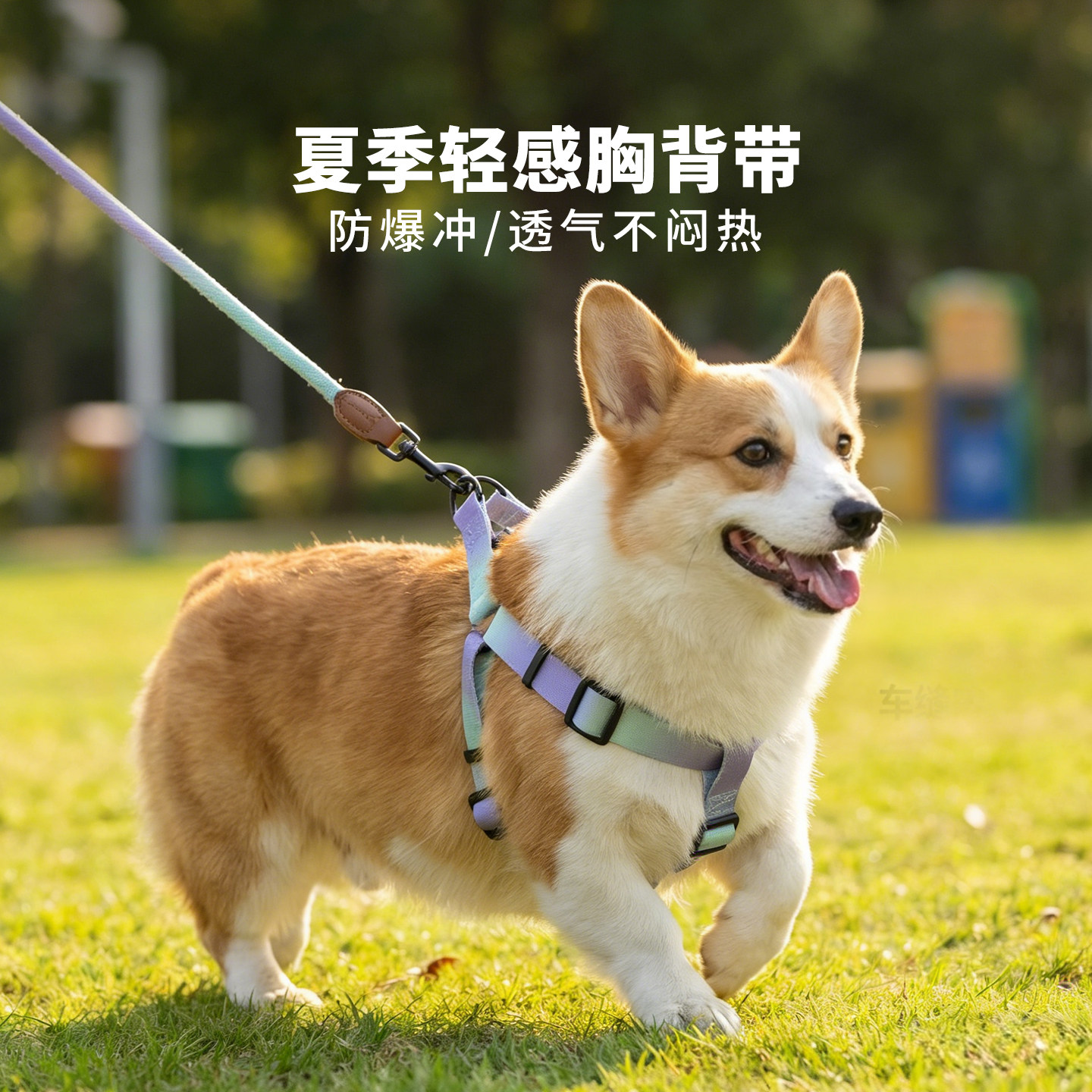 宠物狗狗胸背带牵引绳背心式外出遛狗防爆冲柯基柴犬中小型犬专用