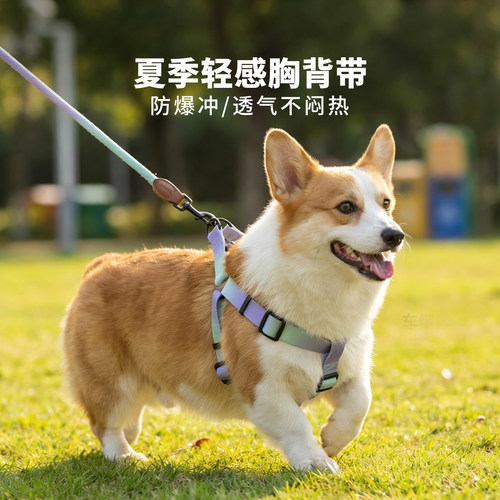 狗狗胸背带背心式外出遛狗防爆冲
