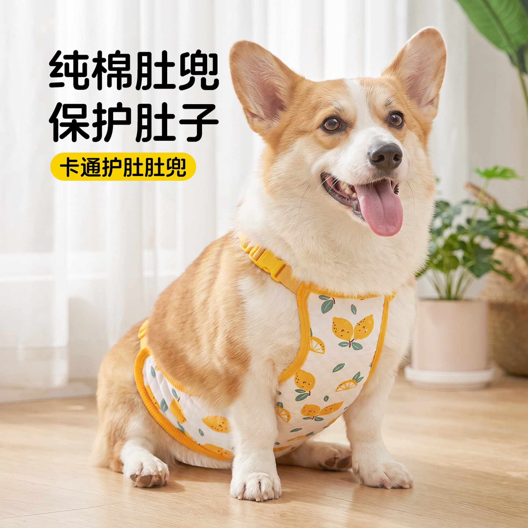 宠物薄款狗狗户外防脏护肚子衣服图片