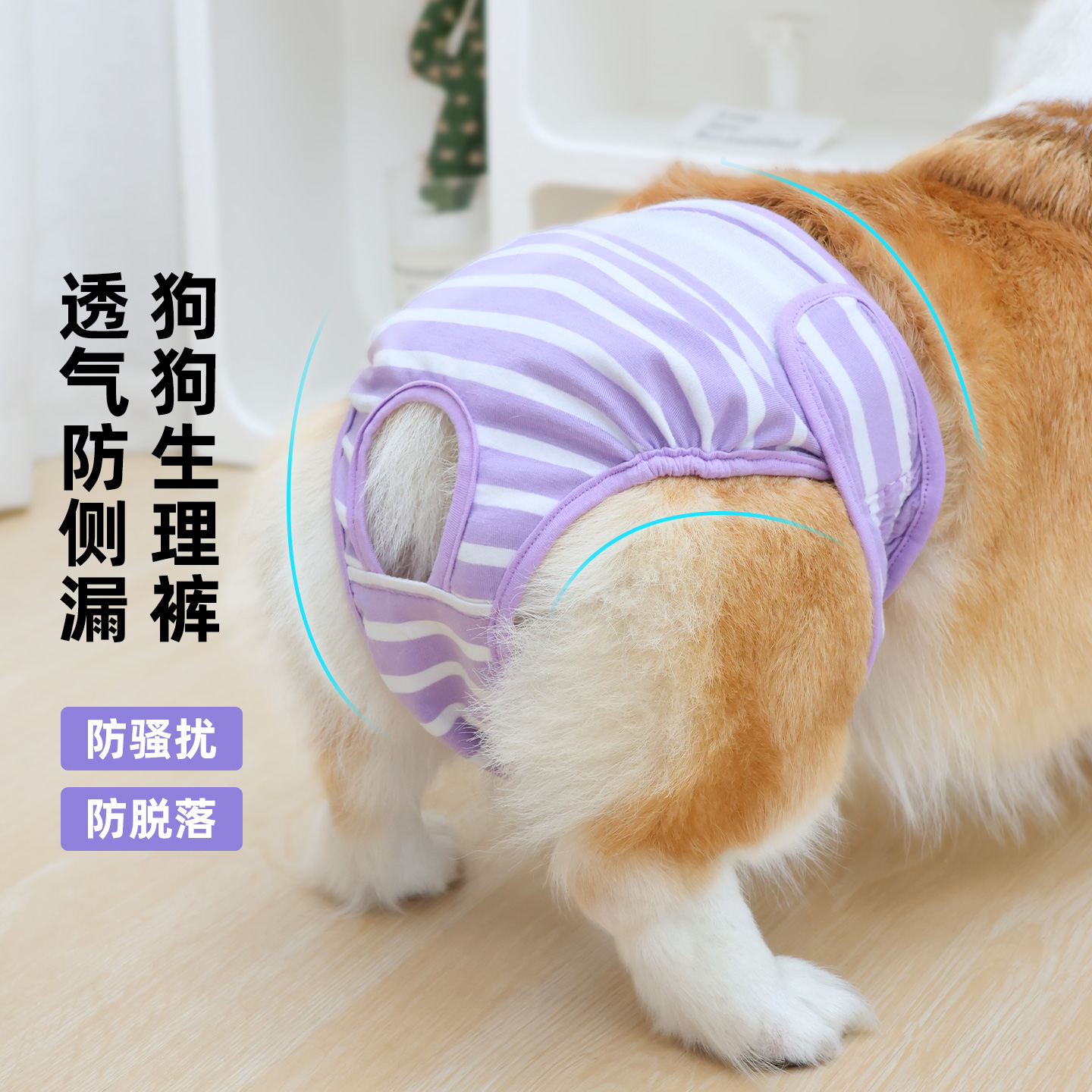 宠物狗狗生理裤姨妈裤母狗专用裤