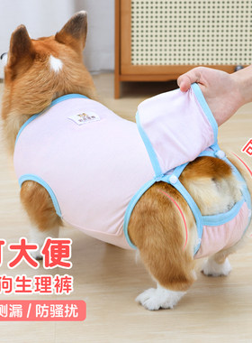 狗狗柯基月经生理裤母狗狗可排泄