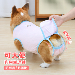 防交配裤 安全裤 母狗可排泄柯基衣服柴犬姨妈裤 宠物狗狗月经生理裤