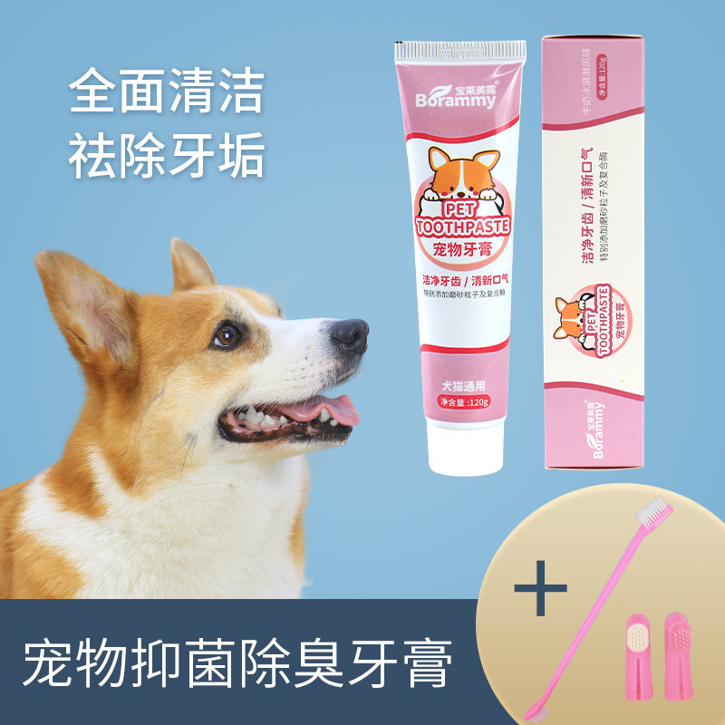 宠物专用牙刷牙膏套装狗用可食用去牙结石狗狗除口臭洁牙指套神器