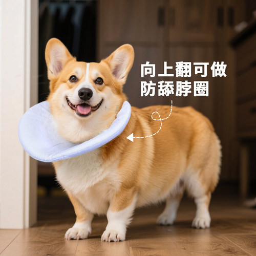 狗狗伊丽莎白圈防舔柯基口水巾