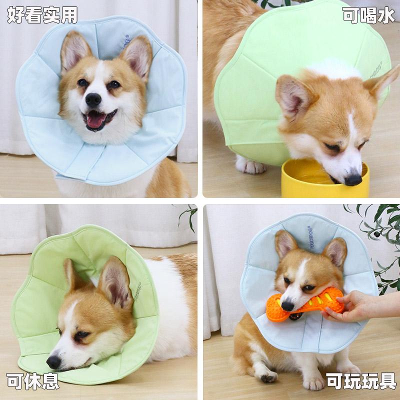 狗狗伊丽莎白圈防舔防咬防抓头套