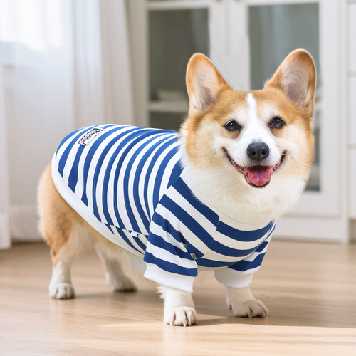 宠物狗狗衣服夏季薄款柯基睡衣夏